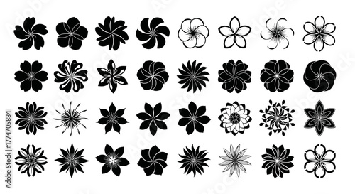 Collection of various flower shapes in black and white, suitable for decorative elements or simple.