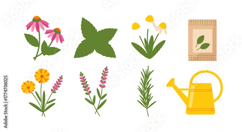 A collection of various herbs, flowers, a seed packet, and a watering can are displayed.