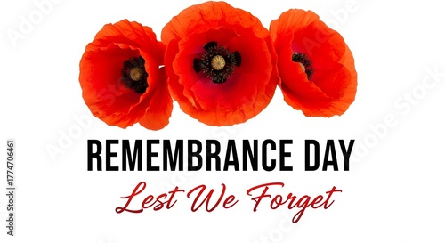 Fotografía Three bright red remembrance poppies with text lest we forget for remembrance da