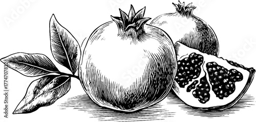 Vintage engraving of pomegranate with leaves and half fruit