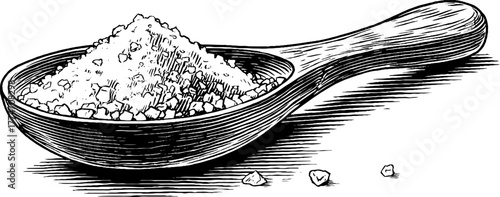 Vintage engraving of sea salt crystals in wooden spoon for kitchen decor