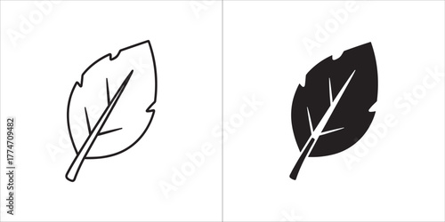 Leaf in line and glyph style illustration
