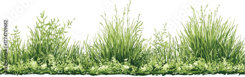 set of green trees isolated cad lines architecture and landscaping model Vector of watercolor tree side view isolated on white background	