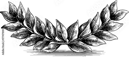 Symmetrical laurel wreath with detailed leaves for vintage design