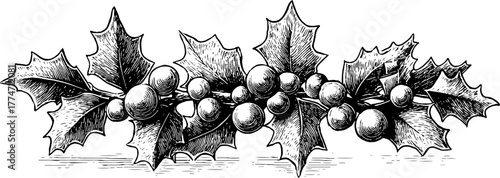 Ornamental rectangular border with intertwined floral ribbons for decorative design