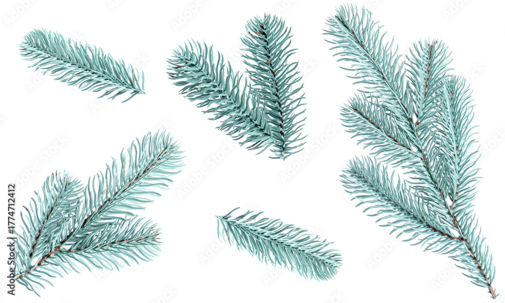 Naklejka premium Christmas tree branches isolated on white, set