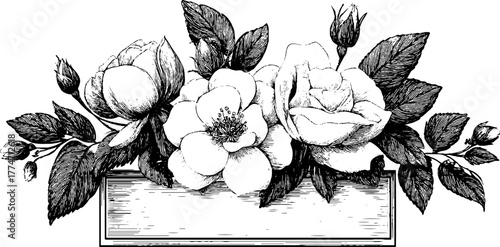 Vintage floral engraving with ornate rectangular border for decorative design