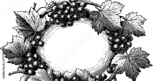 Vintage round grapevine frame with leaves and branches for design and decoration