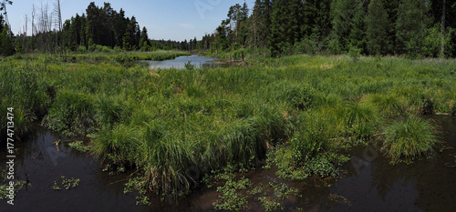 Panoramaansicht, Naturschutzgebiet Burgweiler-Pfrunger Ried, Baden-Württemberg