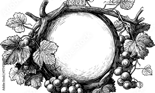 Vintage grapevine branches and leaves round frame engraving for decorative design