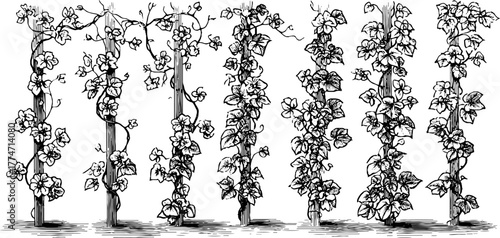 Art nouveau repeating patterns with organic curved stems for design and decorative use