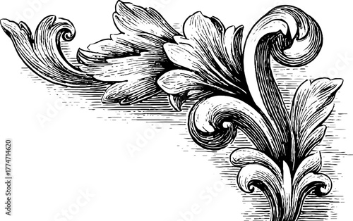 Decorative corner ornaments with floral spirals and curves for design and decoration