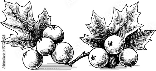 Vintage winter berry corner ornaments with frosted leaf design for holiday decor