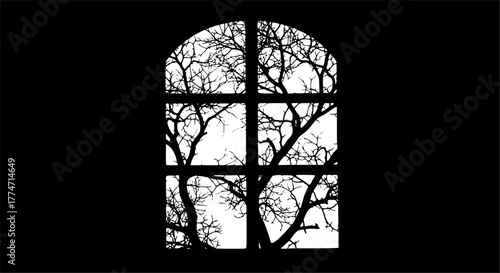 Silhouette of window and tree branches. Gobo mask.
