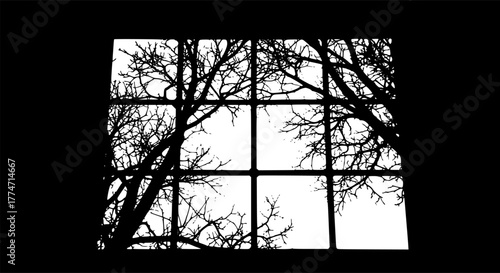 Silhouette of window and tree branches. Gobo mask.
