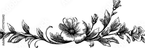 Ornate floral and botanical border design with vine and leaf patterns for decoration projects