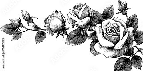 Intricate floral corner composition with roses and vine curls for elegant design