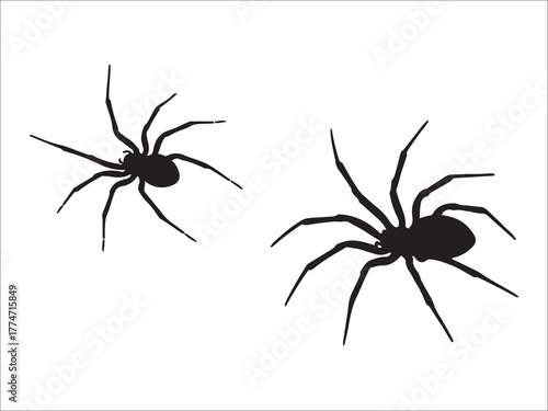 Two spider silhouettes on a white background for Halloween design