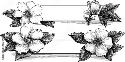 Vintage floral engraving with twin horizontal floral compositions for poster or card design