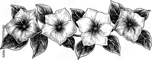 Seamless floral patterns with curling stems design for vintage decor