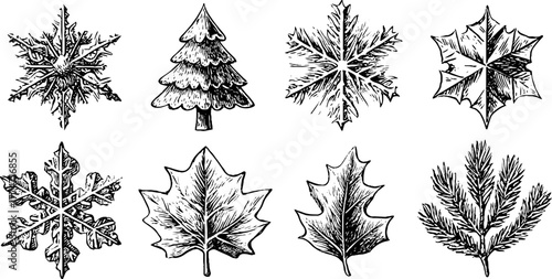 Vintage hand-drawn engraving of snowflakes and fir twigs for holiday borders and design