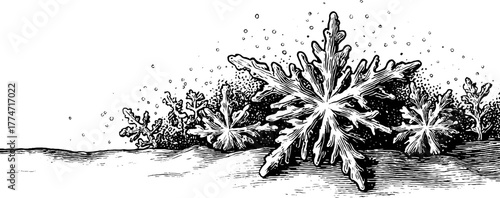 Intricate snowflake silhouette border for winter design and holiday decoration