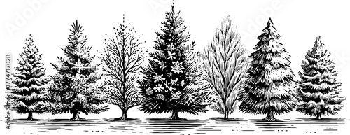 Elegant winter borders with snow crystal patterns for holiday design