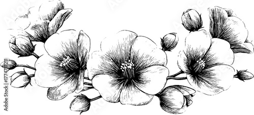 Spring floral vignette with curved stems and circular wreath design for decoration