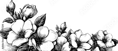 Elegant floral square border with pearl pattern for vintage design and decor