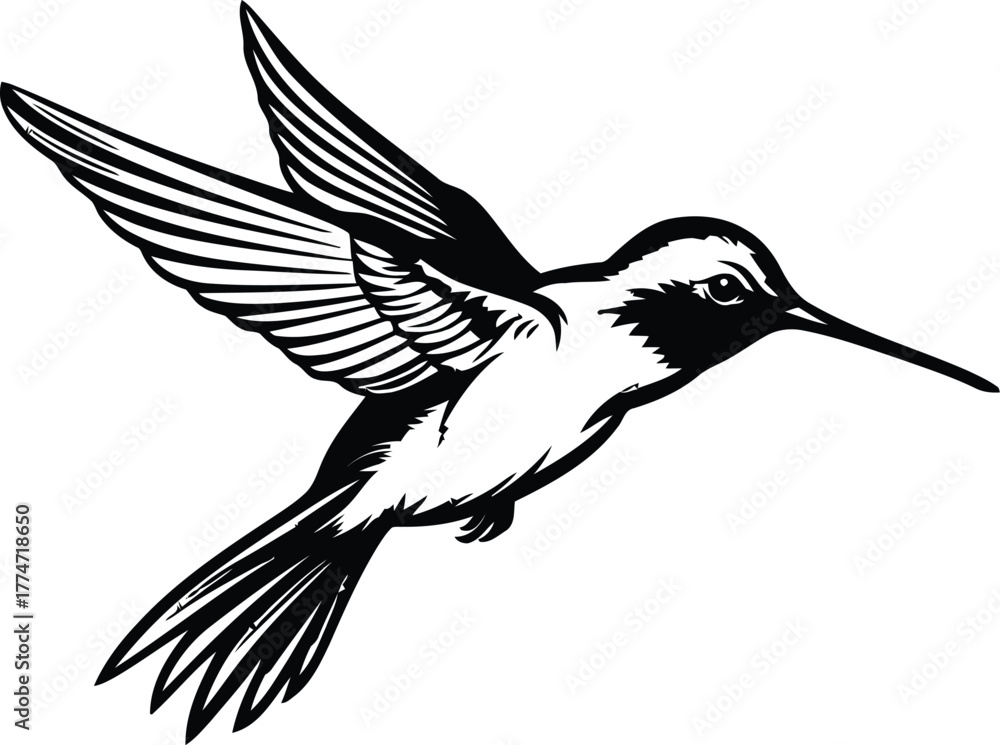Fototapeta premium Hummingbird’s silhouette, Hummingbirds mascot logo, Hummingbirds Black and White Animal Symbol Design, Bird icon. 