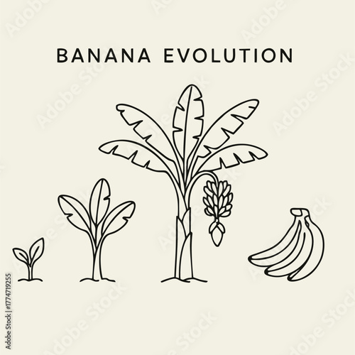 Hand drawn floral and tree vector illustration with leaves and branches in nature style