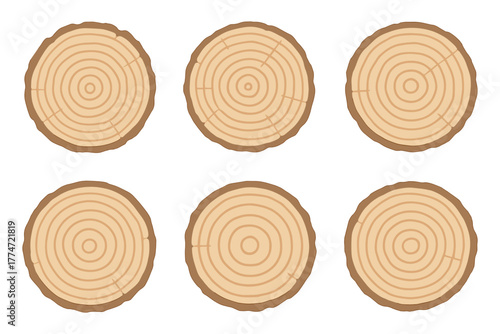 Flat style tree stump cross sections with growth rings set on white background