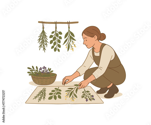 forager drying wild herbs at home natural preservation and slow living practice flat vector illustration style isolated on white background