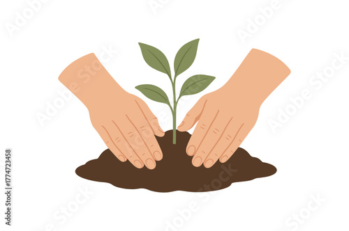 hands planting young seedling mindful connection with earth no outline flat vector illustration style isolated on white background gentle natural palette