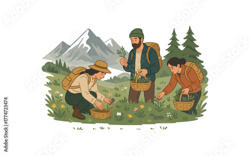 mountain foraging expedition collecting rare alpine herbs and plants flat vector illustration style isolated on white background