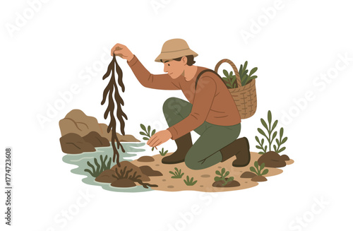 coastal foraging collecting seaweed and edible shore plants sustainable food practice flat vector illustration style isolated on white background