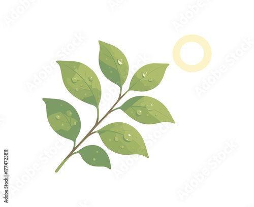 freshly watered leaves glistening under sunlight calm scene no outline flat vector illustration style isolated on white background soft natural colors