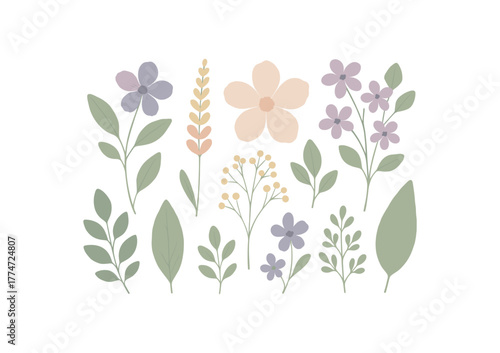 flat lay of pressed flowers and leaves botanical calm design no outline flat vector illustration style isolated on white background soft light tones