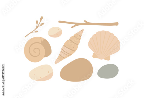 small display of found objects shells twigs and stones slow living vibe no outline flat vector illustration style isolated on white background gentle tones