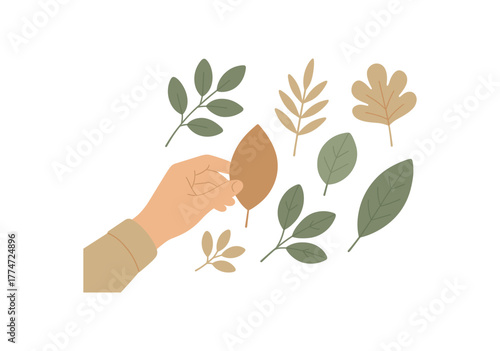 hand arranging leaves on table mindful natural art composition no outline flat vector illustration style isolated on white background muted soft palette