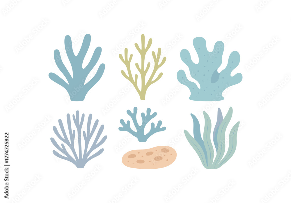 Fototapeta premium collection of coral fragments arranged artfully calm seaside feel no outline flat vector illustration style isolated on white background gentle cool palette