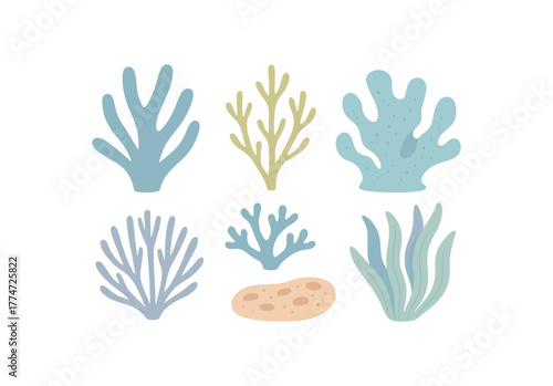 collection of coral fragments arranged artfully calm seaside feel no outline flat vector illustration style isolated on white background gentle cool palette