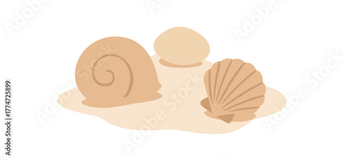 minimal arrangement of shells and sand smooth coastal vibe no outline flat vector illustration style isolated on white background light neutral hues