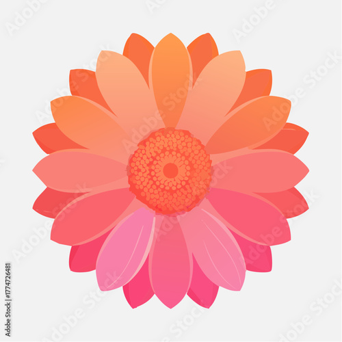 Vibrant vector illustration of a gerbera daisy flower in full bloom
