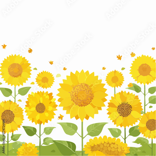 Vibrant yellow sunflowers with green stems and leaves against white background