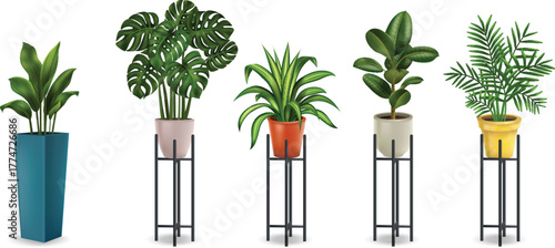 bunch of fresh green carrots