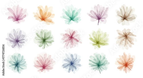 Vibrant watercolor floral collection showcasing delicate petals in a spectrum of pastel and earthy tones for elegant design projects