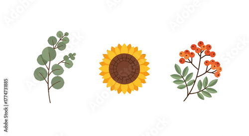 A stylized set of autumn botanical illustrations featuring a eucalyptus branch a sunflower head and rowan berries.