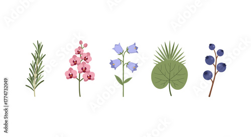 Collection of five stylized botanical illustrations featuring diverse plant elements.
