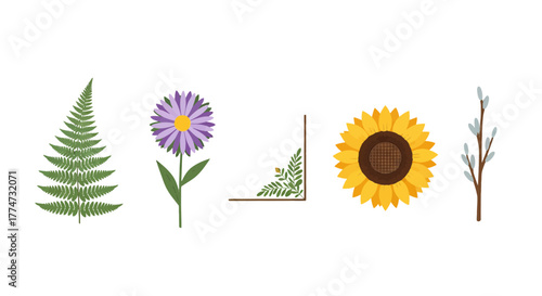 Collection of diverse botanical elements including fern flowers and branches.